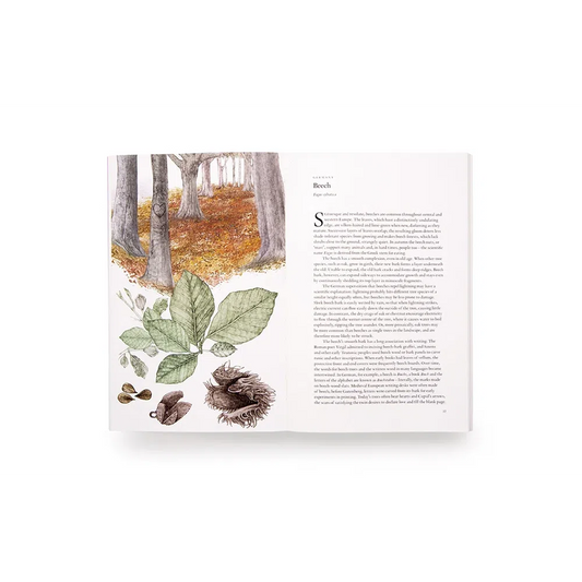 Around the World in 80 Trees, paperback