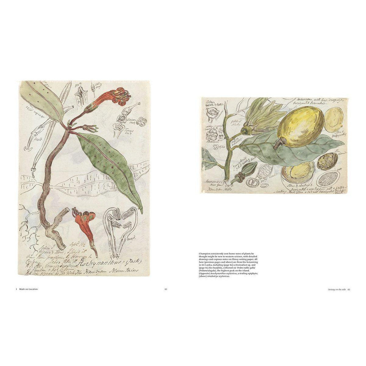 Botanical Sketchbooks