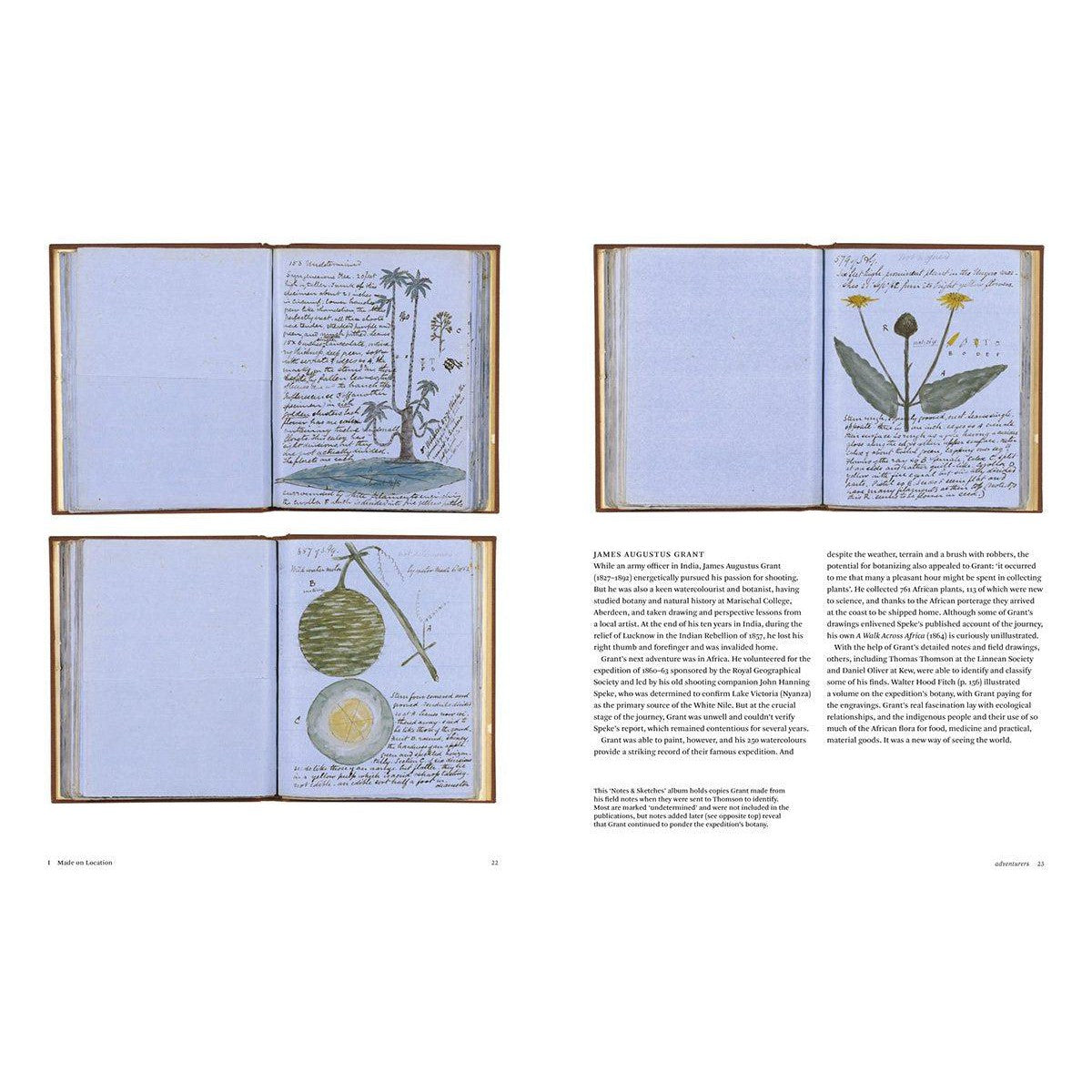 Botanical Sketchbooks