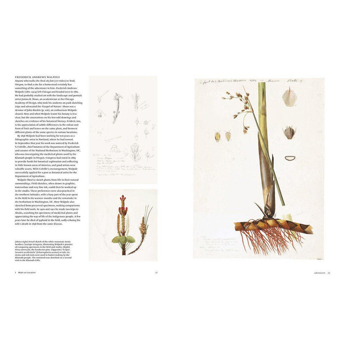 Botanical Sketchbooks