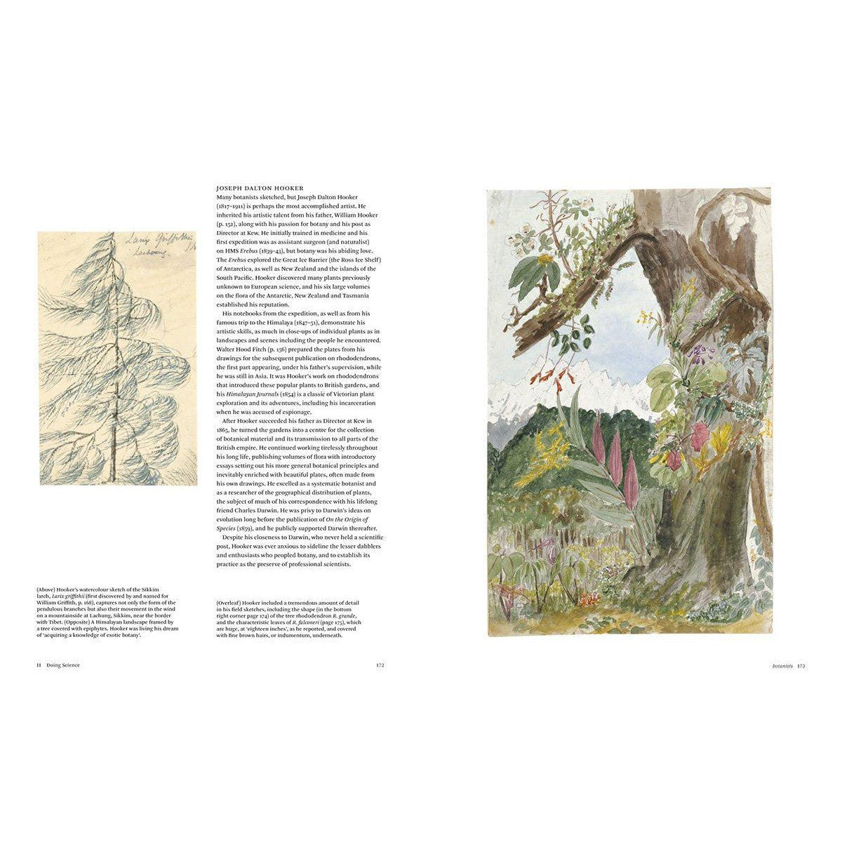 Botanical Sketchbooks