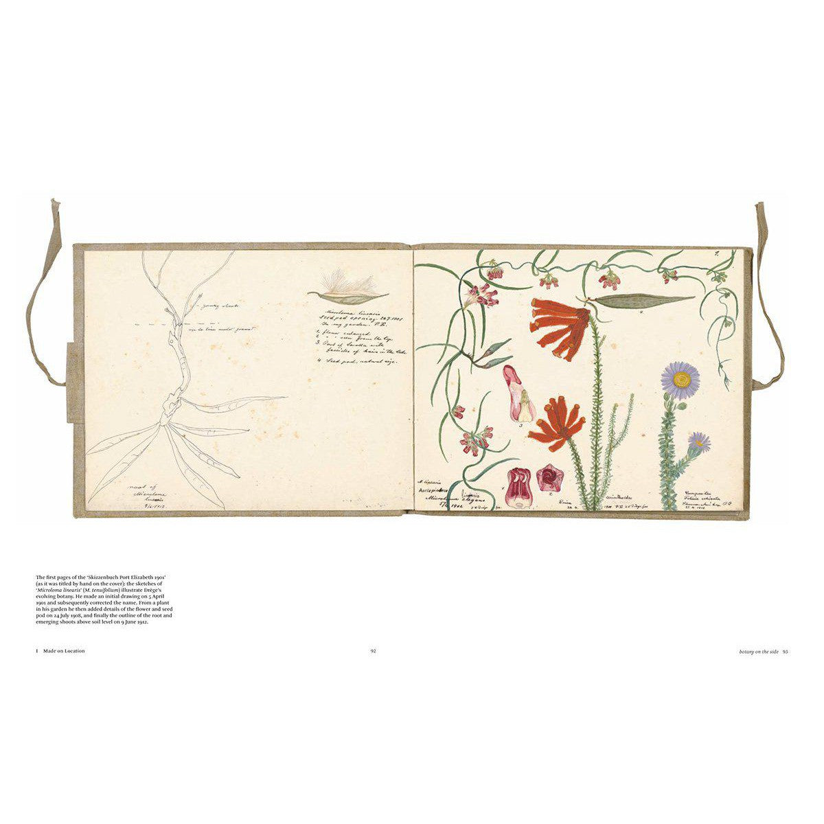 Botanical Sketchbooks