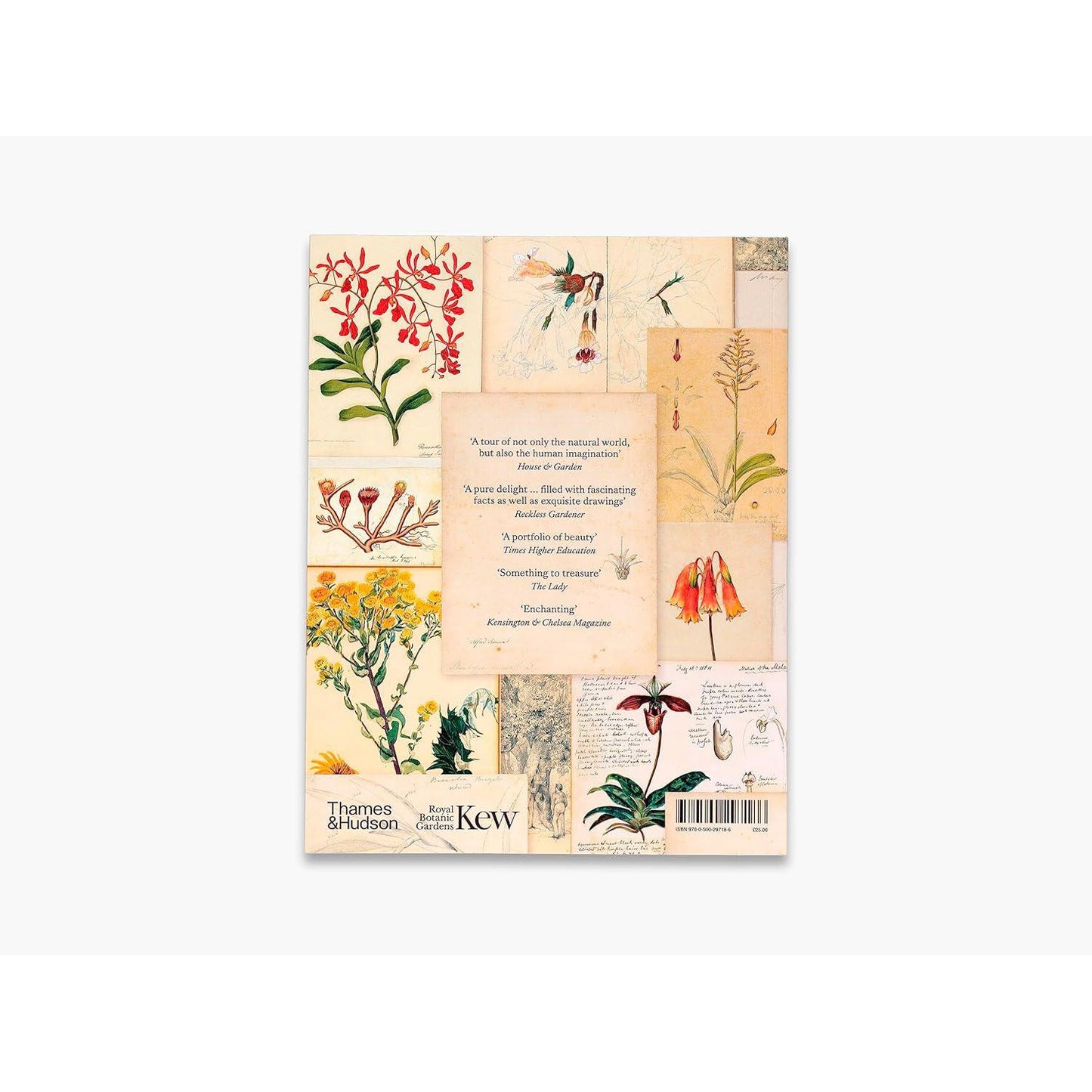 Botanical Sketchbooks