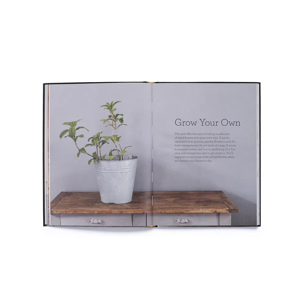 Cut & Dry: The Modern Guide to Dried Flowers from Growing to Styling