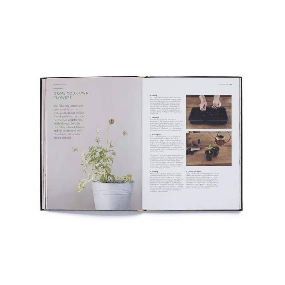 Cut & Dry: The Modern Guide to Dried Flowers from Growing to Styling
