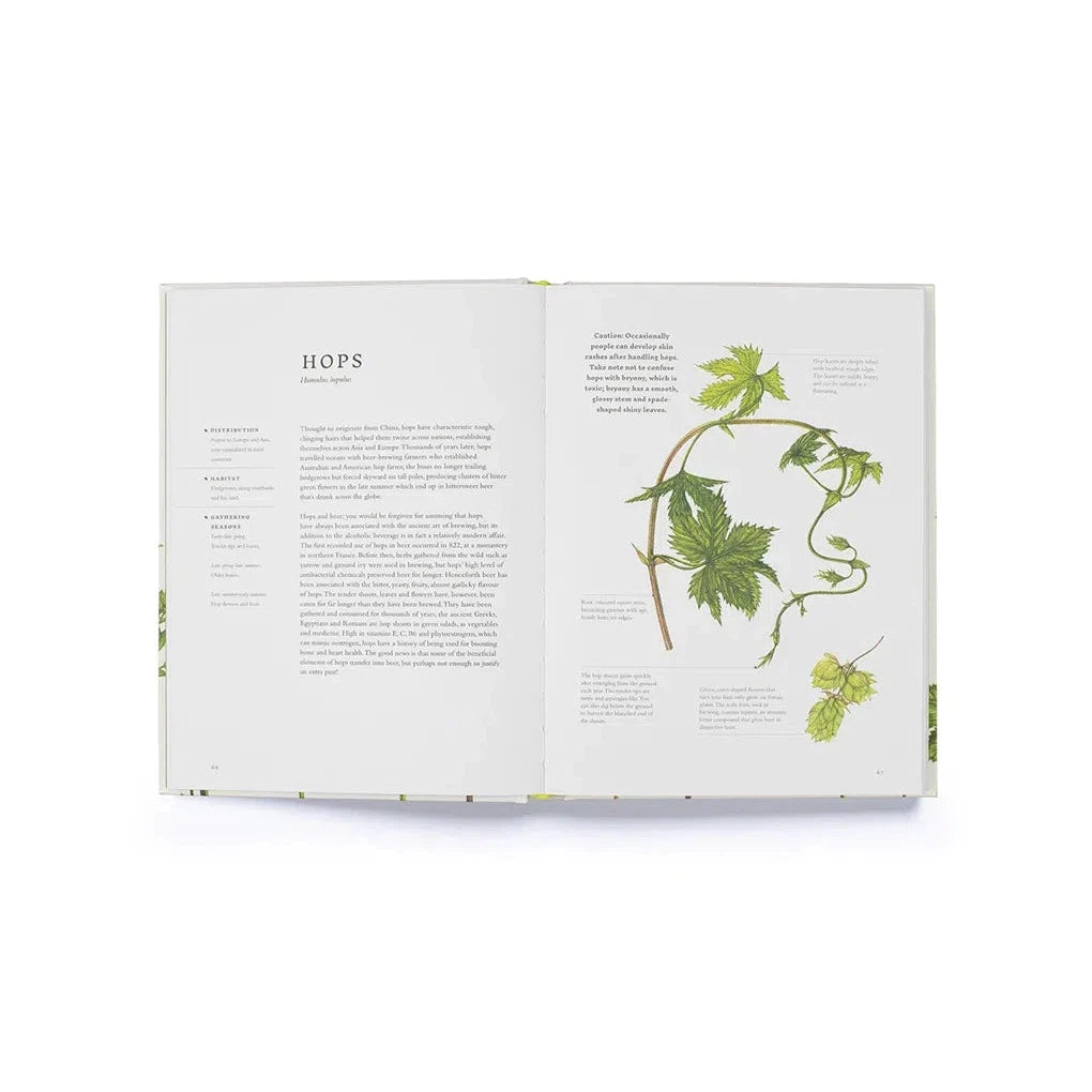 Forage: Wild plants to gather and eat