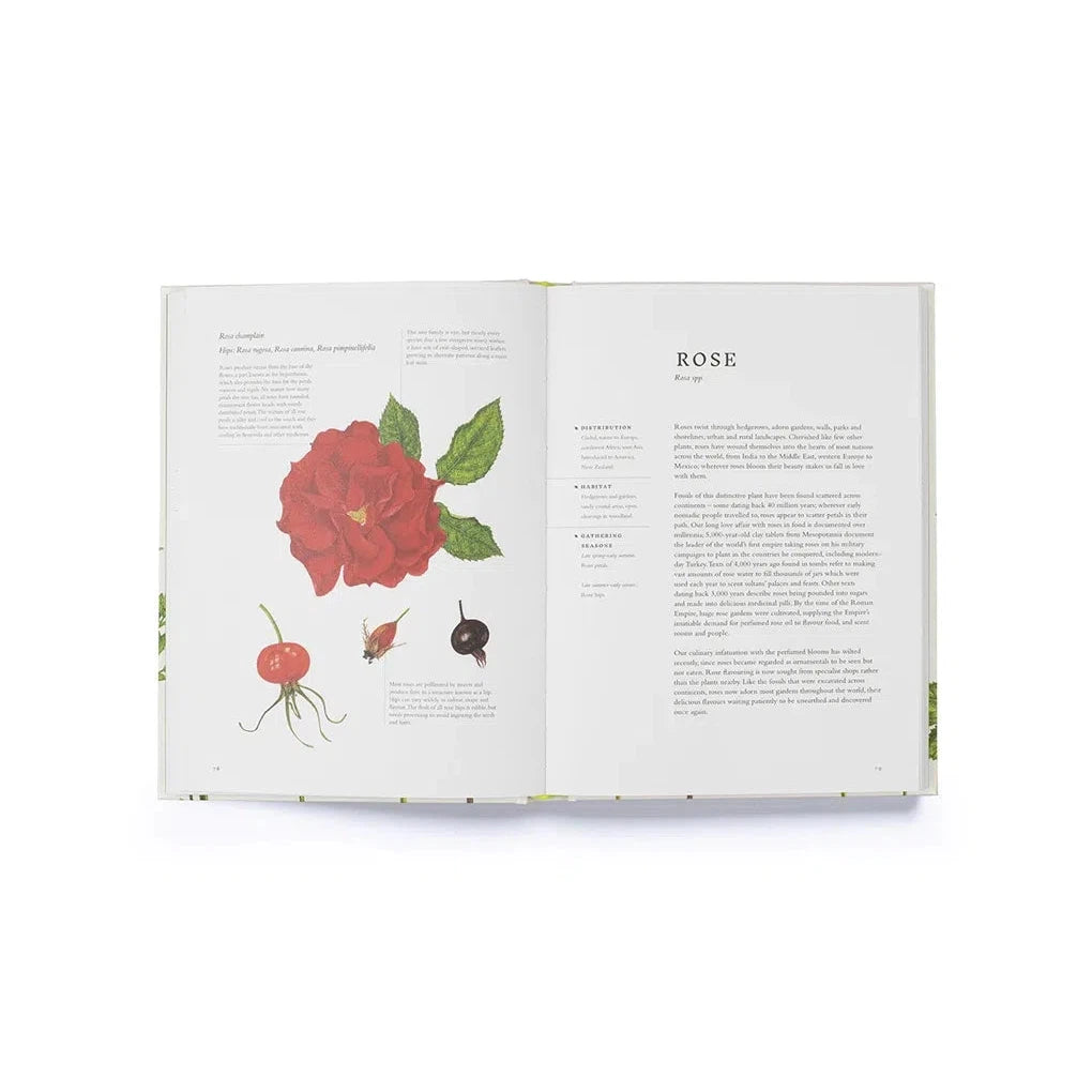 Forage: Wild plants to gather and eat
