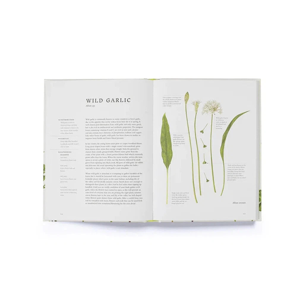 Forage: Wild plants to gather and eat