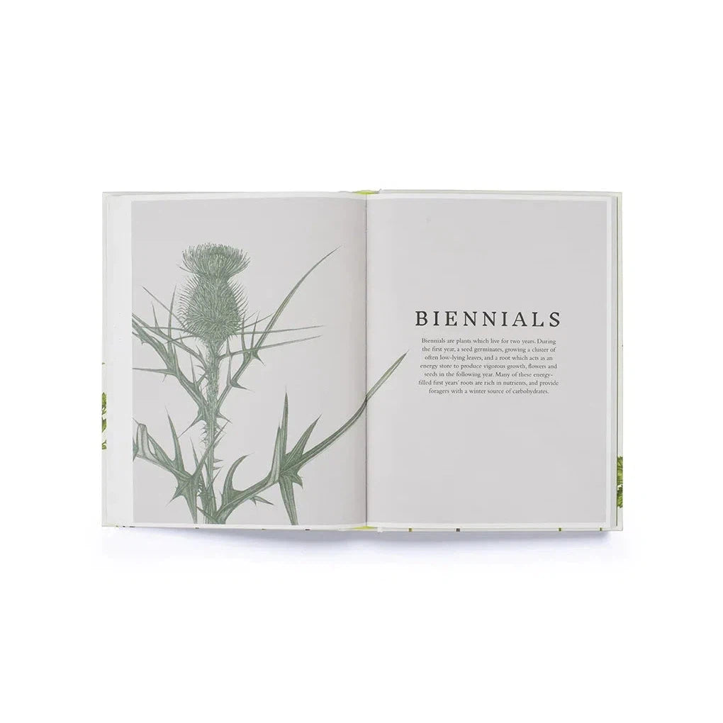 Forage: Wild plants to gather and eat