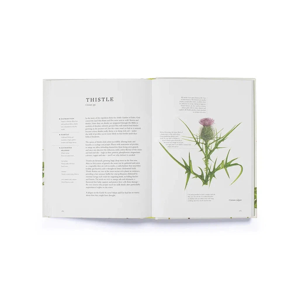 Forage: Wild plants to gather and eat