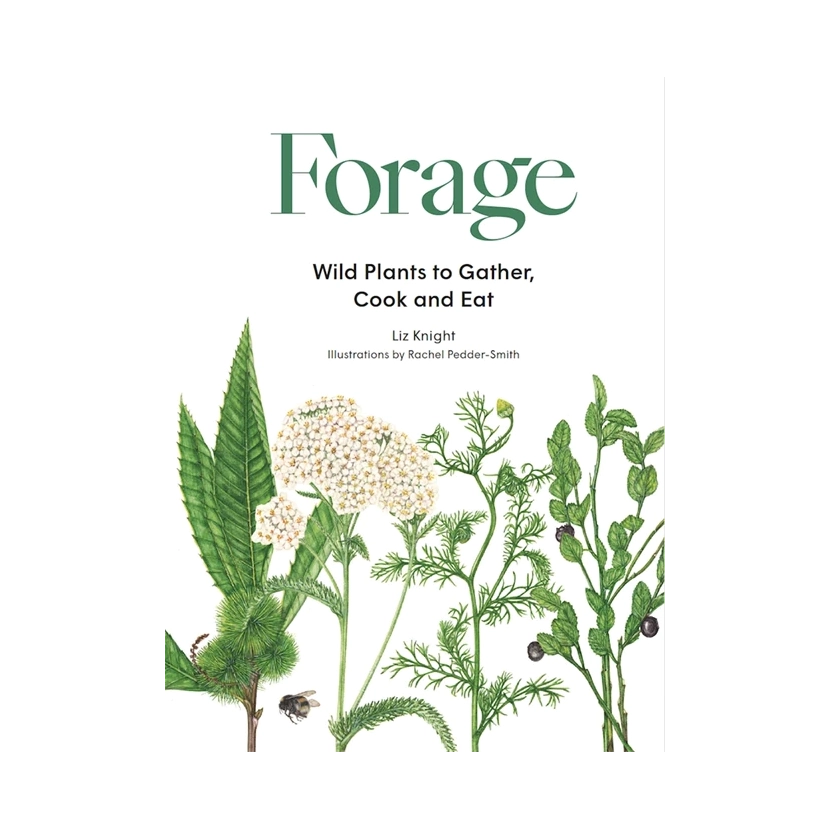Forage: Wild plants to gather and eat