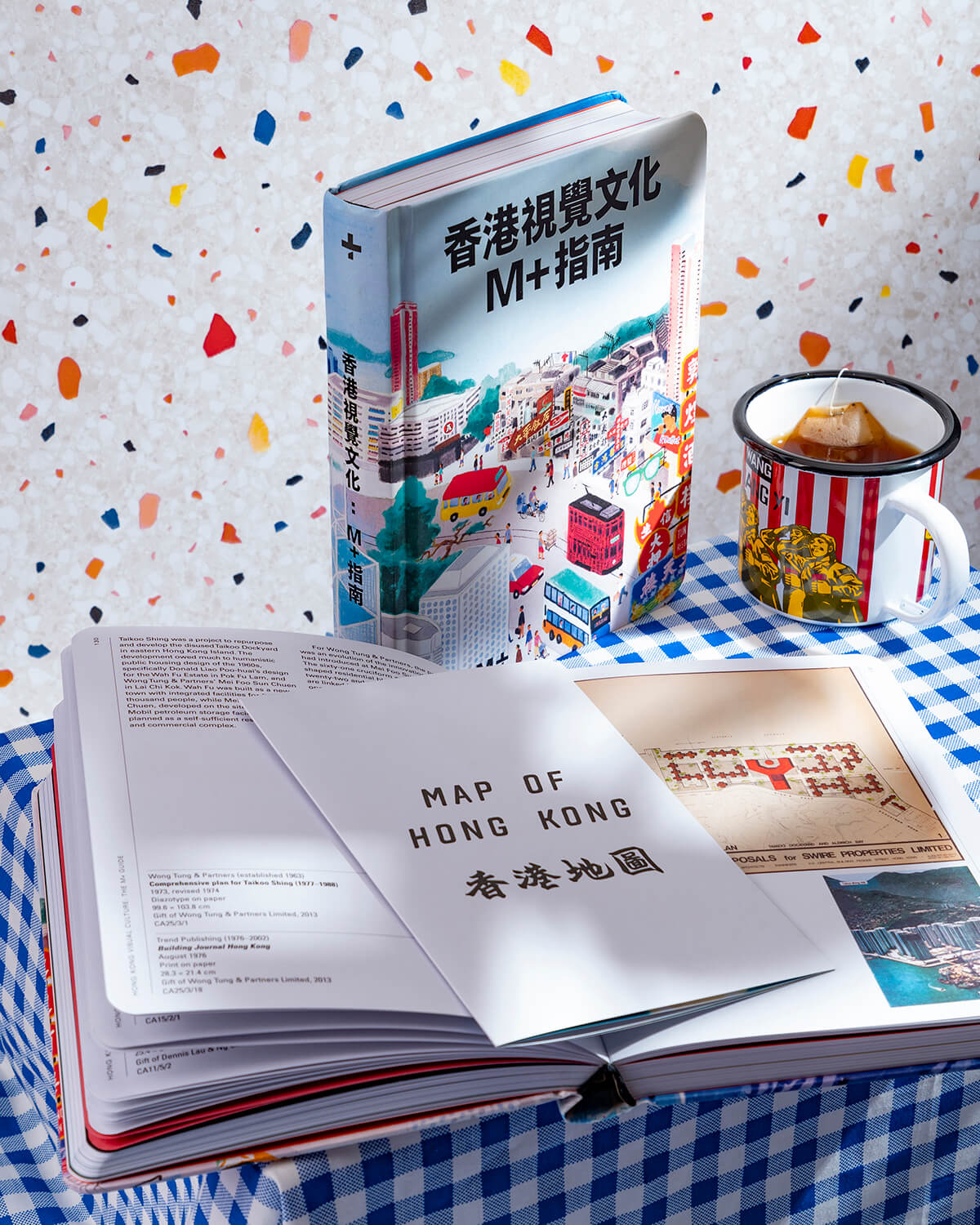 Hong Kong Visual Culture: The M+ Guide