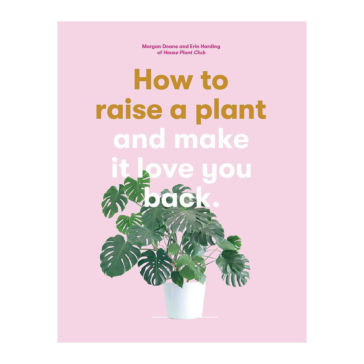 How to Raise a Plant