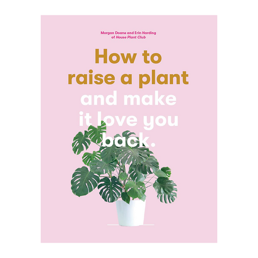 How to Raise a Plant