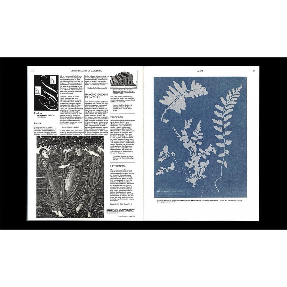 On the Necessity of Gardening - An ABC of Art, Botany and Cultivation