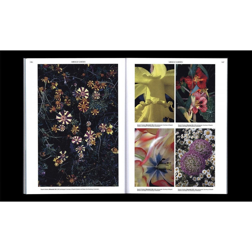 On the Necessity of Gardening - An ABC of Art, Botany and Cultivation