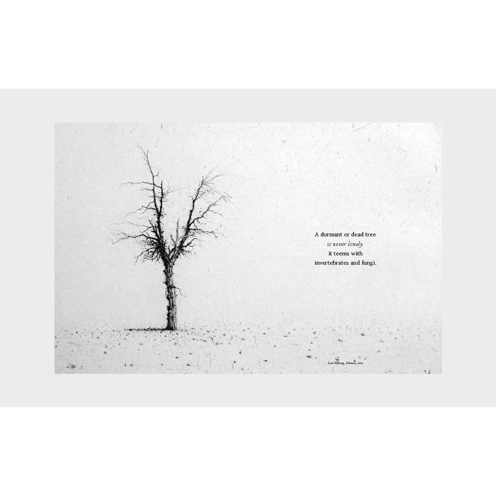 The Book of the Tree