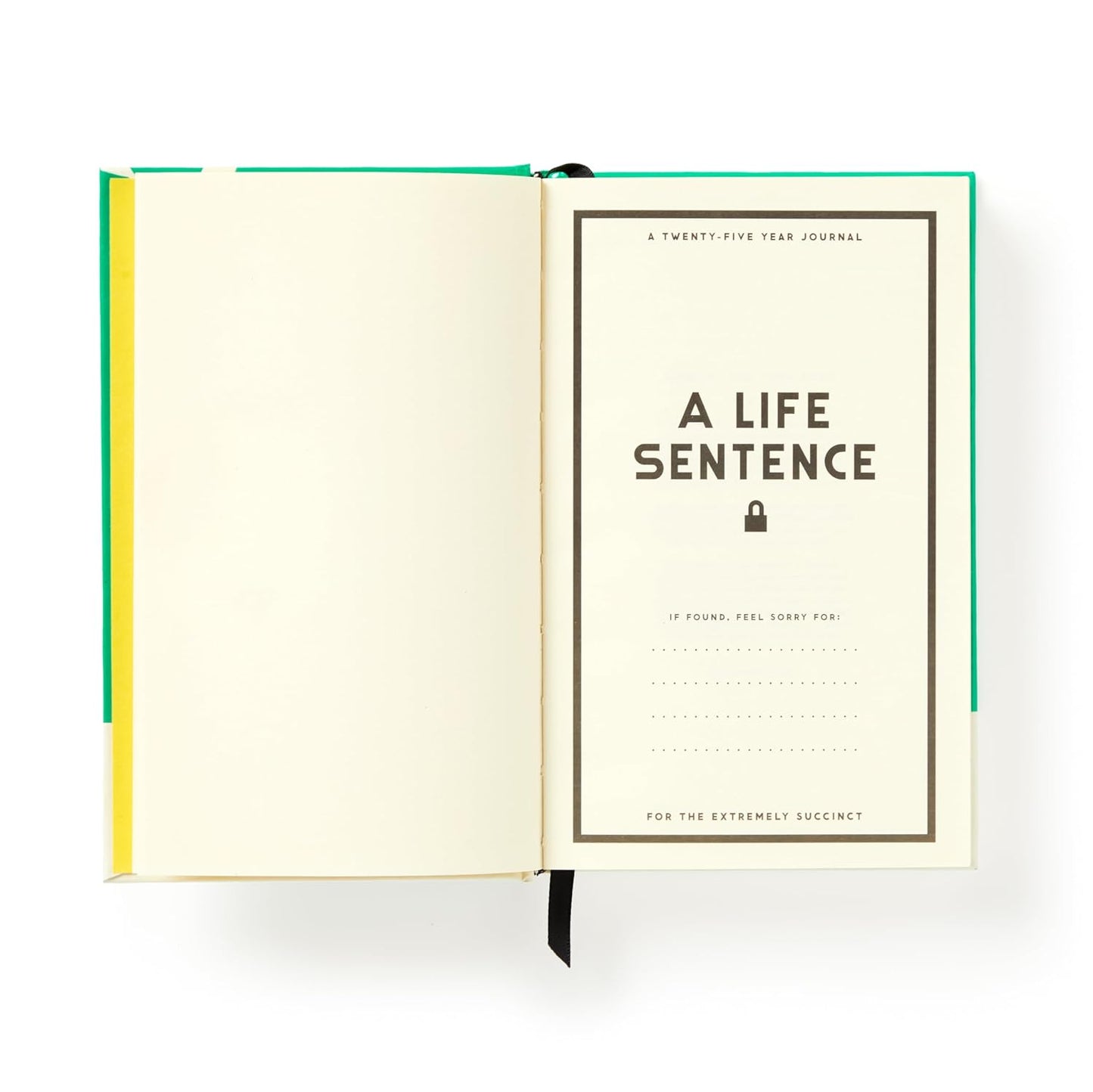 A Life Sentence: A Line-A-Day Journal For The Next 25 Years