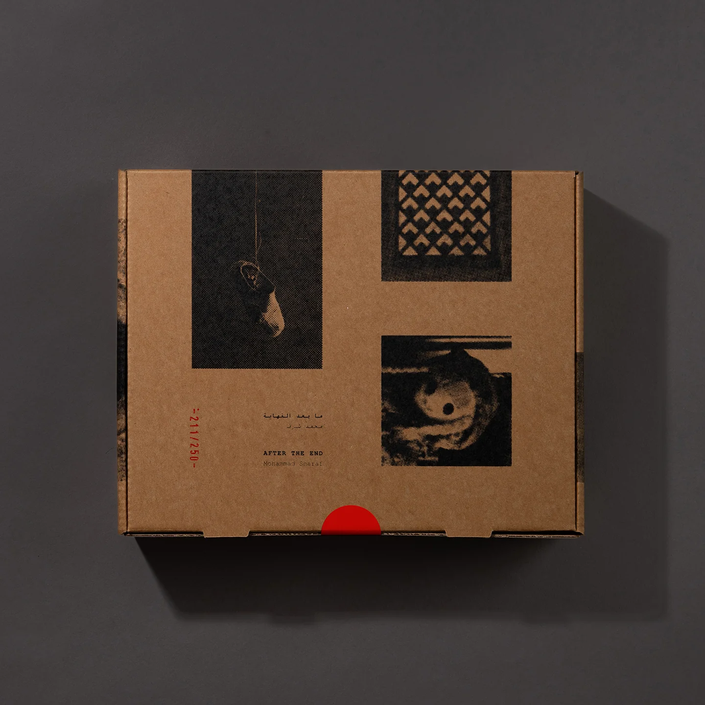 AFTER THE END (Limited Edition - Numbered)