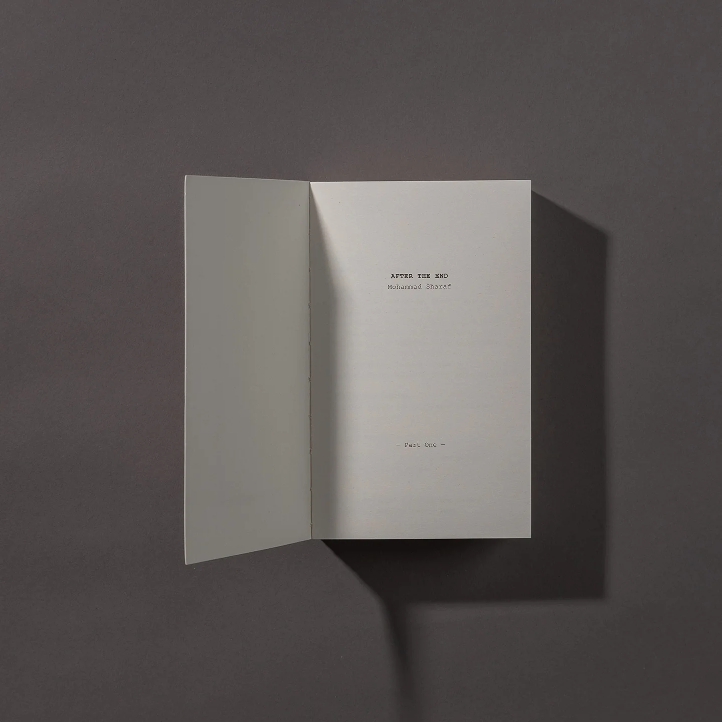 AFTER THE END (Limited Edition - Numbered)
