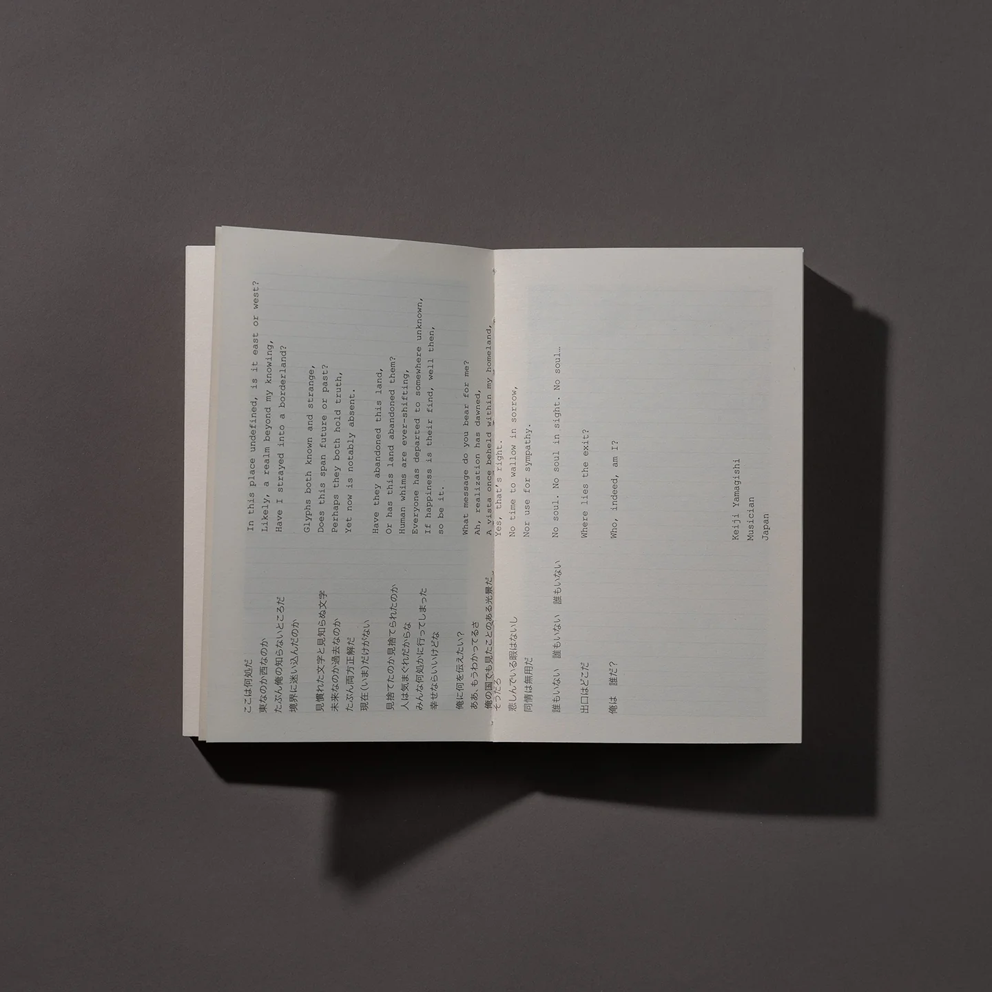 AFTER THE END (Limited Edition - Numbered)