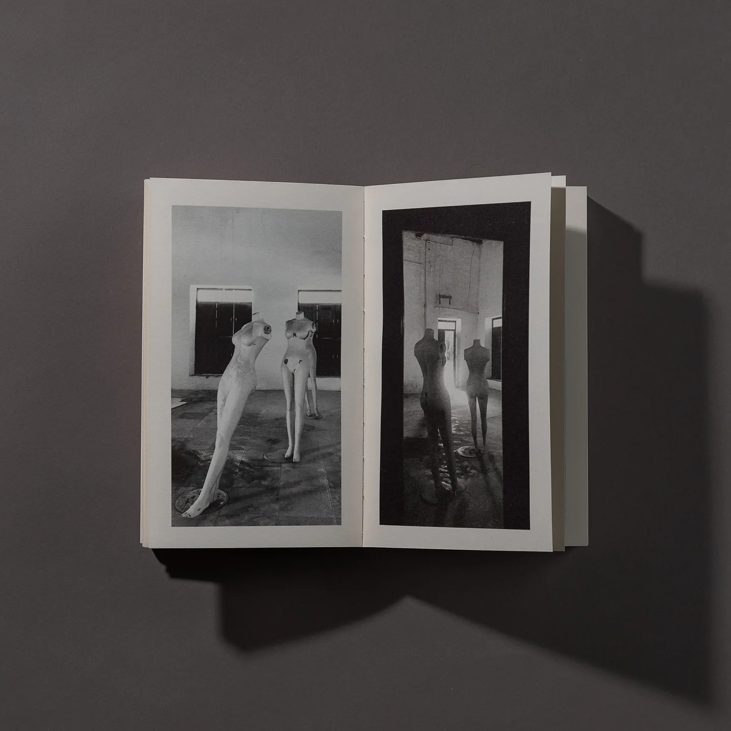 AFTER THE END (Limited Edition - Numbered)