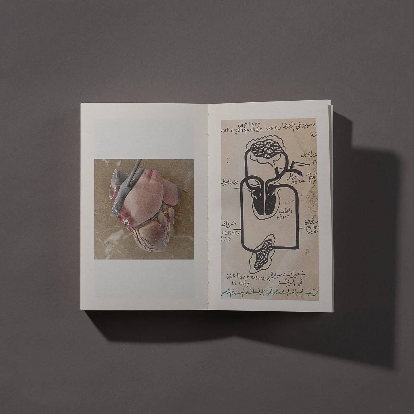 AFTER THE END (Limited Edition - Numbered)