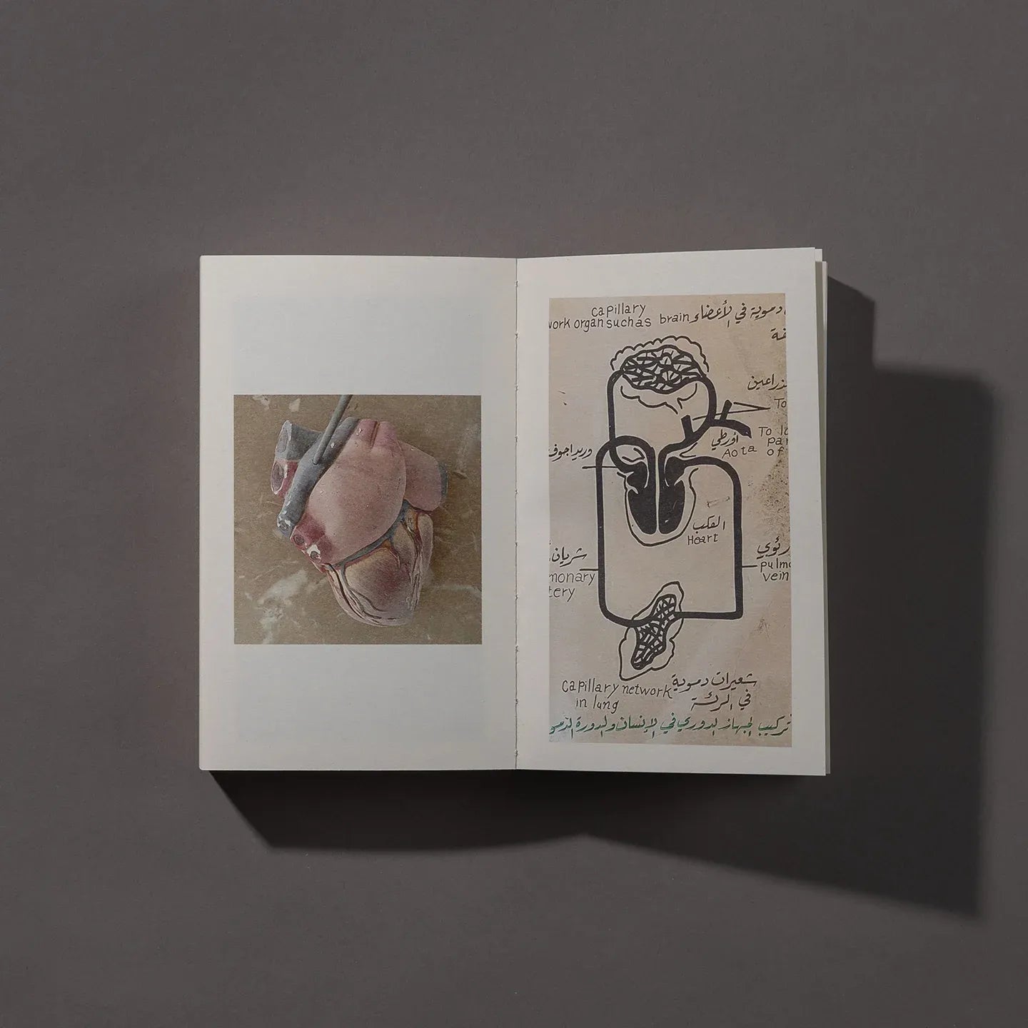 بعد النهاية (طبعة محدودة - مرقمة) 