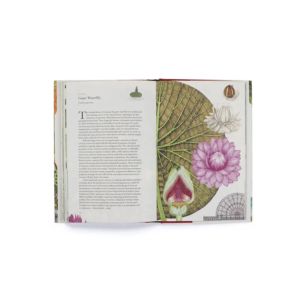 Around the World in 80 Plants