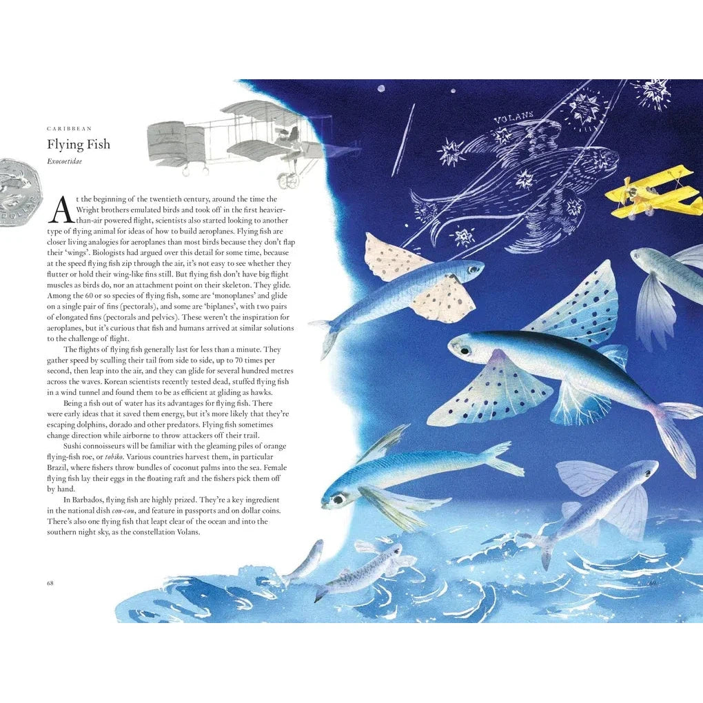 Around the ocean in 80 Fish and other Sea Life