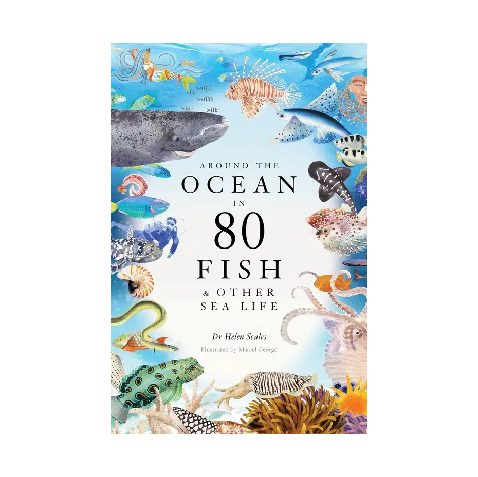Around the ocean in 80 Fish and other Sea Life