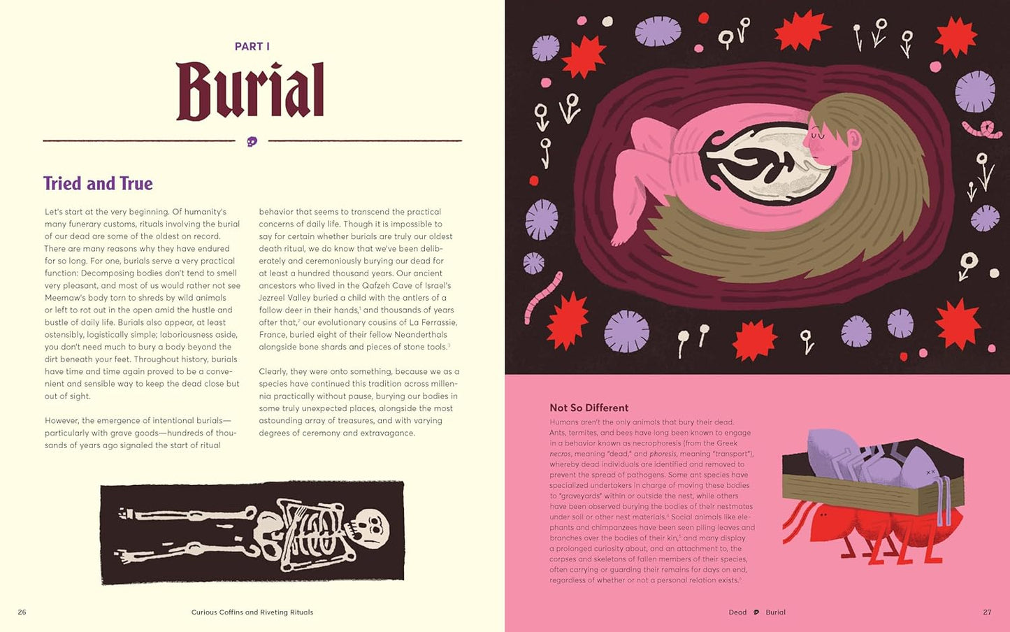 Curious Coffins and Riveting Rituals: Death Practices Around the World