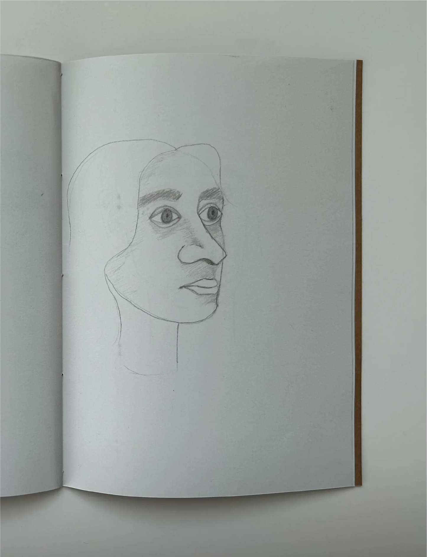 Faces Vol. I: Urooj Ali