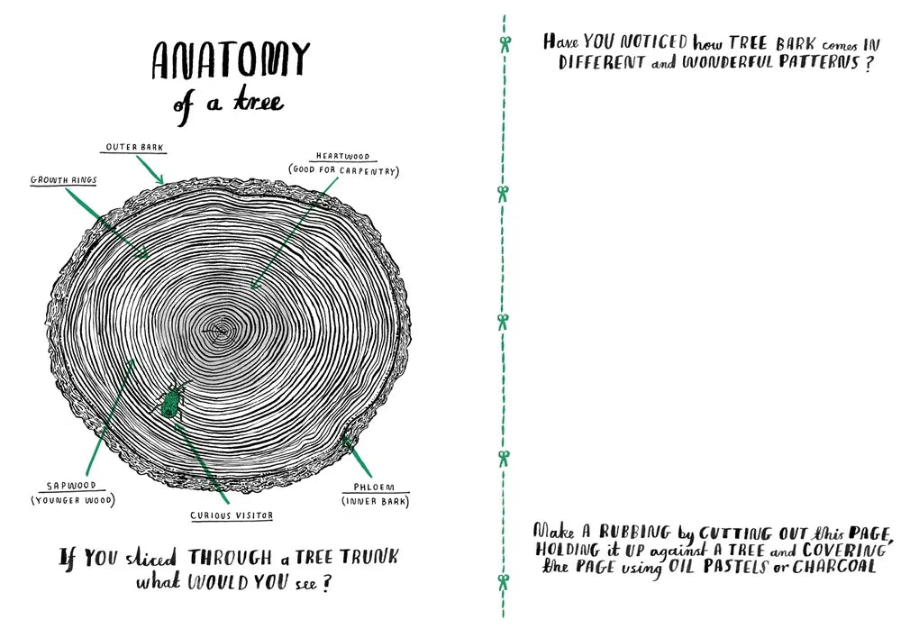 كتاب أنشطة مرحبا بالطبيعة