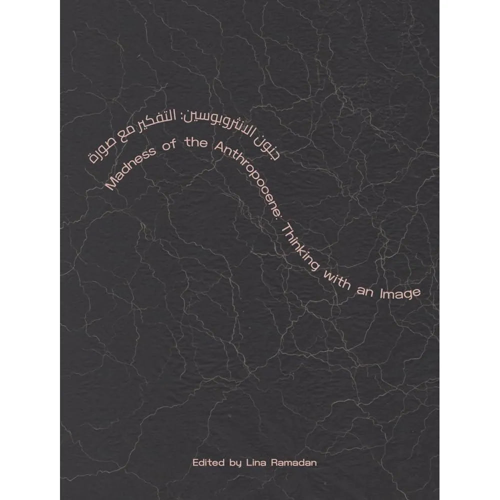 Madness of the Anthropocene: Thinking with an Image cover image