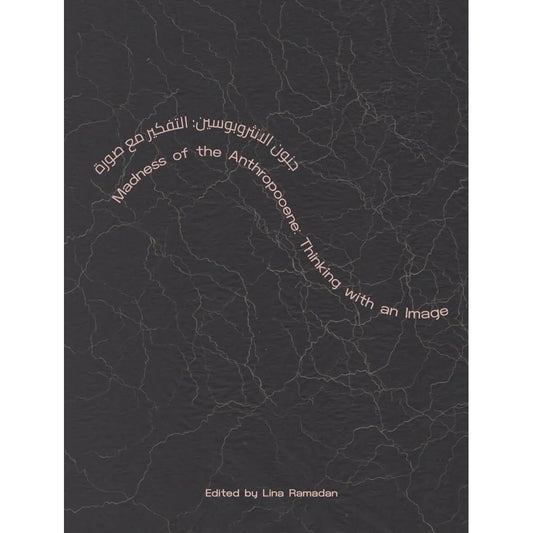 Madness of the Anthropocene: Thinking with an Image cover image