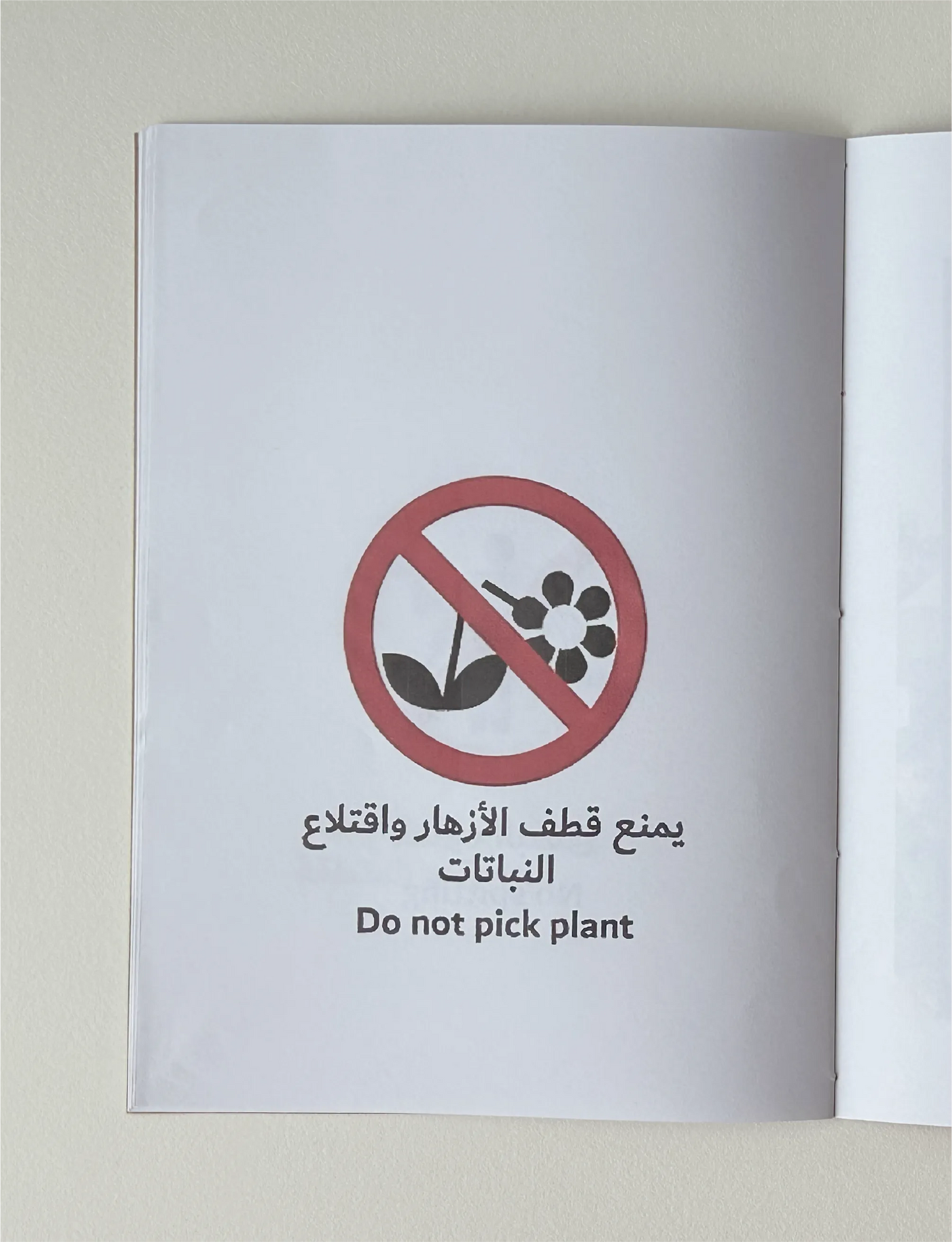 Rules & Regulations Vol. I: Urooj Ali