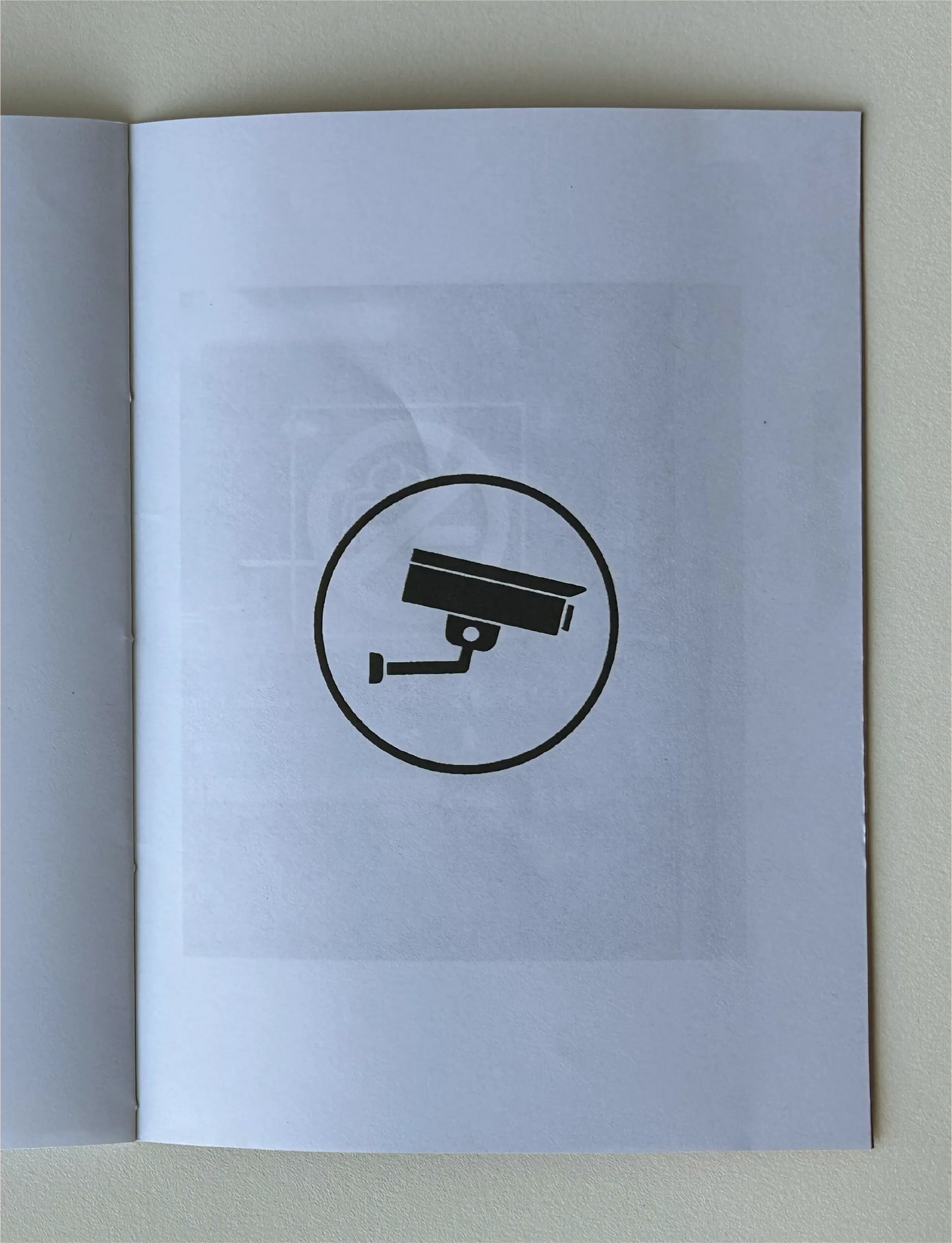 Rules & Regulations Vol. II: Urooj Ali