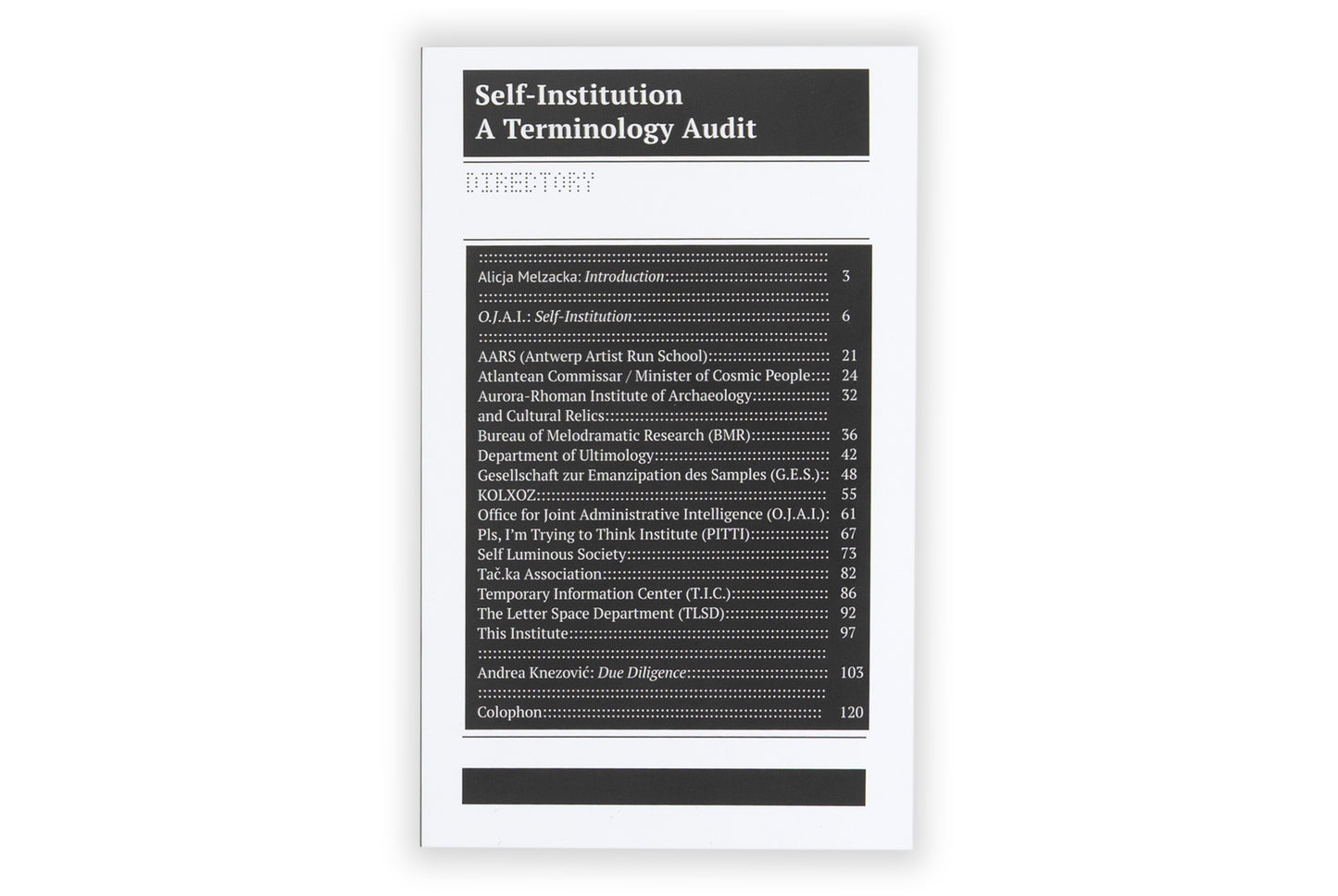 Self-Institution/ Terminology Audit: A Terminology Audit of Self-Instituted Practice