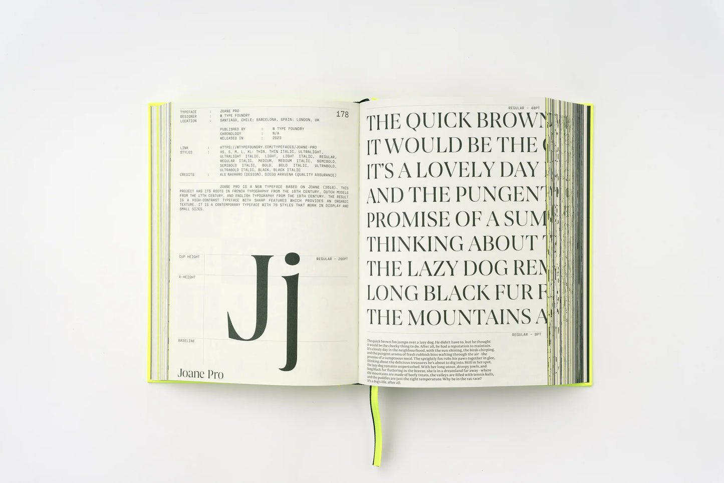 Serif in Use: Creative Typefaces and their Applications
