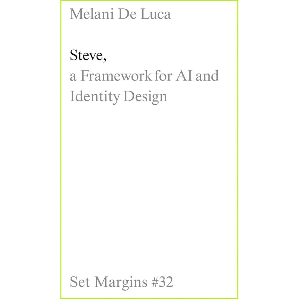 Steve: A Framework for AI and Identity Design cover image