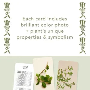 The Botanicals Deck: 70 Plants and Flowers to Enhance Your Life―Plus Herbal Recipes and Rituals