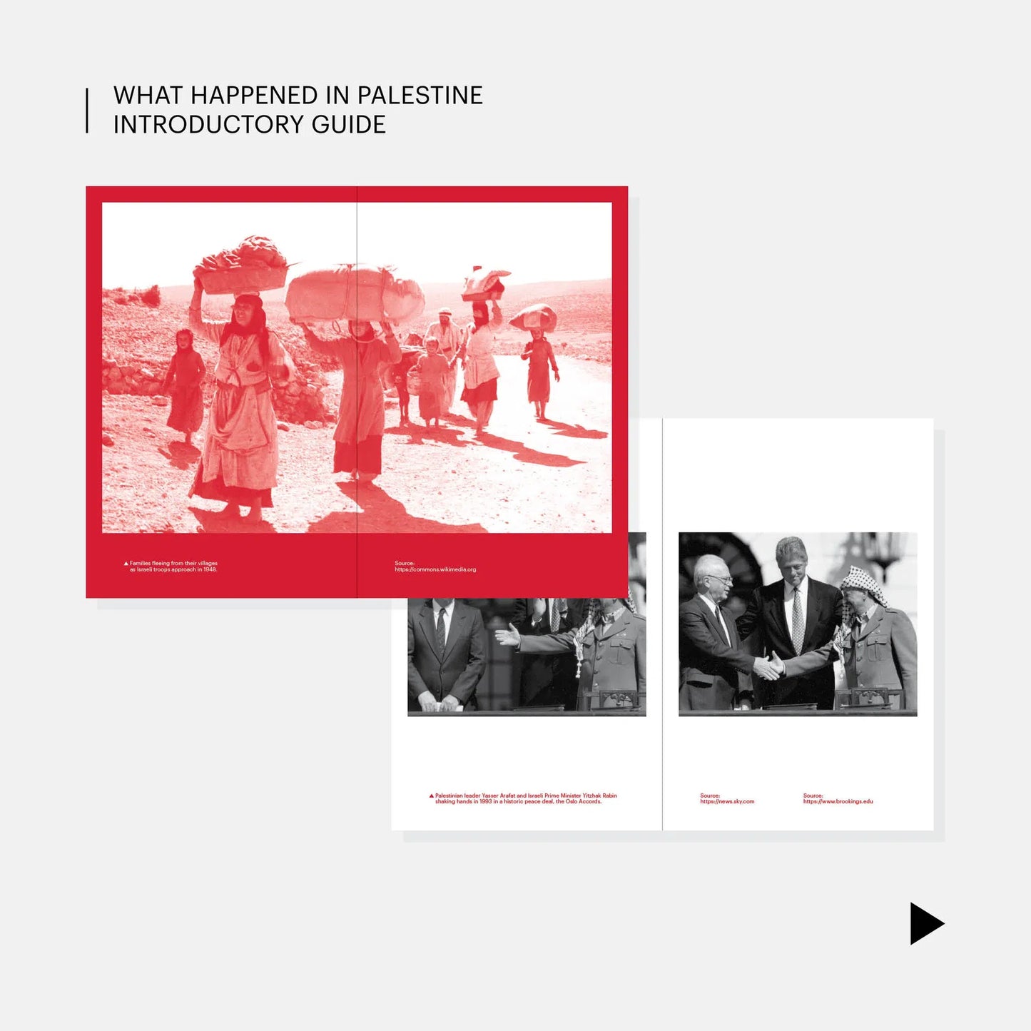 What Happened in Palestine Publication