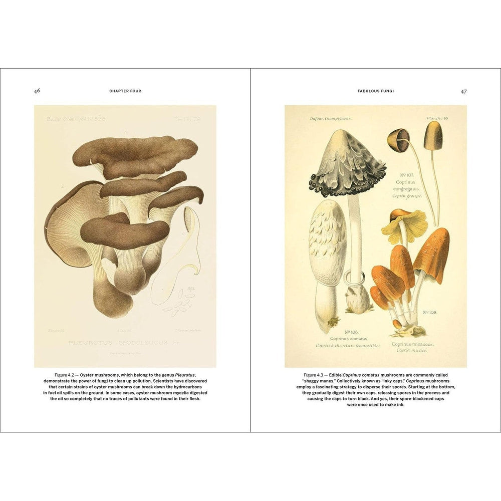 Wild design