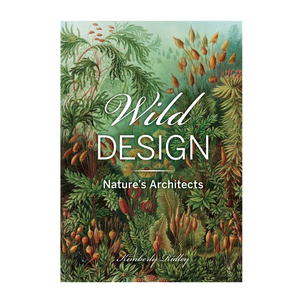 Wild design