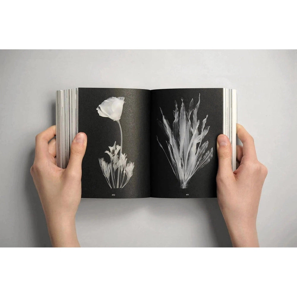 PALETTE mini 06: Transparent