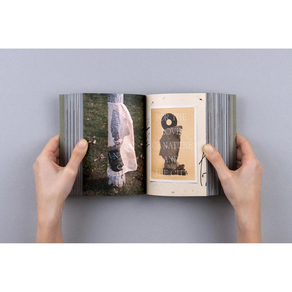 لوحة ألوان صغيرة رقم 9: الطبيعة 